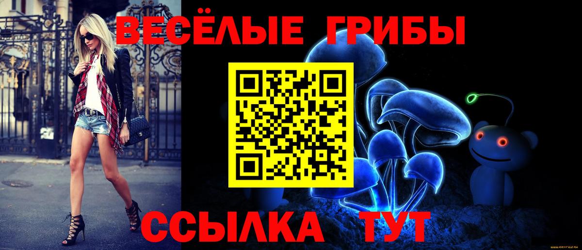 Галлюциногенные грибы мухоморы Норильск