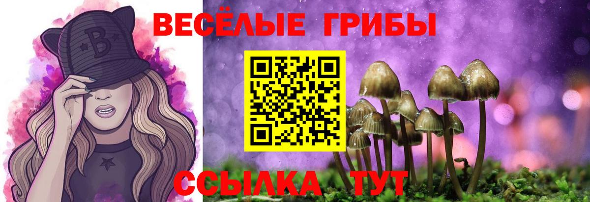 Псилоцибиновые грибы Psilocybine cubensis  Вход с VPN  Галлюциногенные грибы Psilocybe  Норильск 